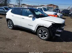 3C4NJCCB2KT699087 2019 JEEP COMPASS