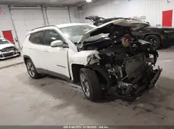 3C4NJCCB3LT229698 2020 JEEP COMPASS