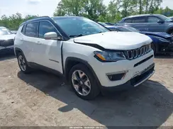 3C4NJCCB4KT743865 2019 JEEP COMPASS
