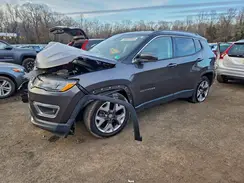 3C4NJCCB5LT114519 2020 JEEP COMPASS