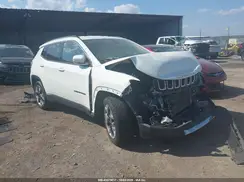 3C4NJCCB7LT187603 2020 JEEP COMPASS