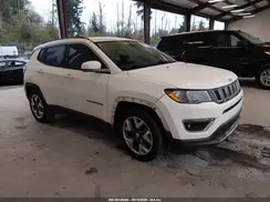 3C4NJCCBXLT120980 2020 JEEP COMPASS