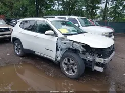 3C4NJCCBXLT218536 2020 JEEP COMPASS