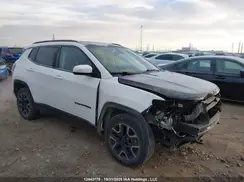 3C4NJDAB0KT756766 2019 JEEP COMPASS