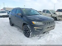 3C4NJDAB0LT144066 2020 JEEP COMPASS