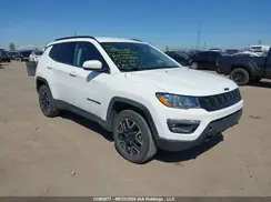 3C4NJDAB1LT123890 2020 JEEP COMPASS