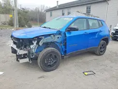3C4NJDAB1LT133156 2020 JEEP COMPASS