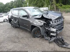 3C4NJDAB2LT151343 2020 JEEP COMPASS