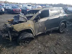 3C4NJDAB2LT167526 2020 JEEP COMPASS