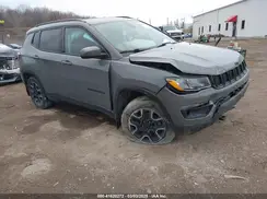 3C4NJDAB3KT723860 2019 JEEP COMPASS