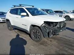 3C4NJDAB3KT846395 2019 JEEP COMPASS