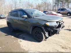 3C4NJDAB3MT603544 2021 JEEP COMPASS