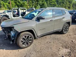 3C4NJDAB5KT850187 2019 JEEP COMPASS