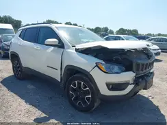 3C4NJDAB7LT212346 2020 JEEP COMPASS