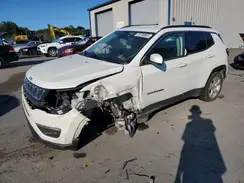 3C4NJDBB0LT216575 2020 JEEP COMPASS