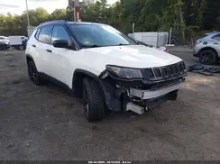 3C4NJDBB0MT543995 2021 JEEP COMPASS