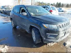 3C4NJDBB2LT168772 2020 JEEP COMPASS