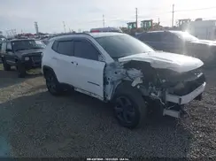 3C4NJDBB5JT207710 2018 JEEP COMPASS