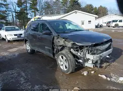 3C4NJDBB5LT135409 2020 JEEP COMPASS