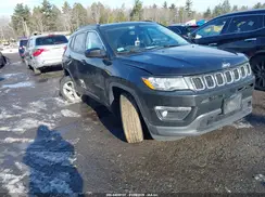 3C4NJDBB5LT160701 2020 JEEP COMPASS