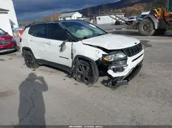 3C4NJDBB5MT547699 2021 JEEP COMPASS