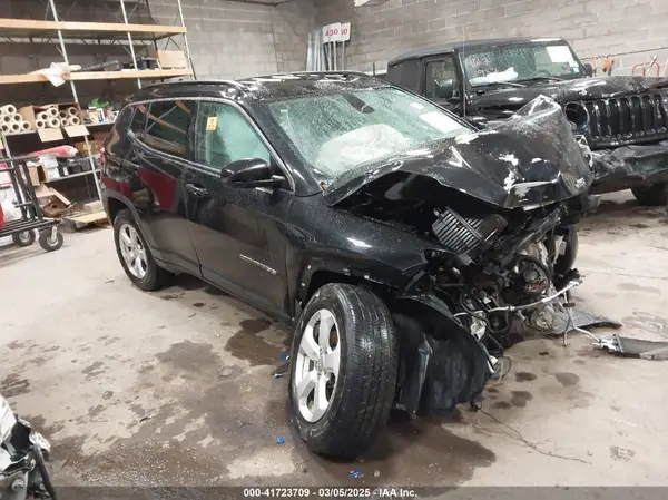 3C4NJDBB8HT679927 2017 JEEP COMPASS - Image 1