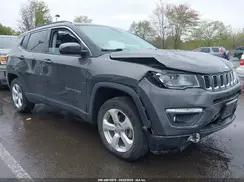 3C4NJDBB8LT156769 2020 JEEP COMPASS