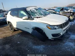 3C4NJDBB8LT157310 2020 JEEP COMPASS