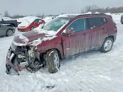 3C4NJDBB8LT219580 2020 JEEP COMPASS
