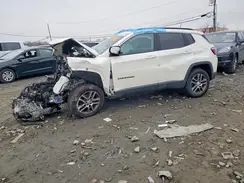 3C4NJDBB8LT223127 2020 JEEP COMPASS