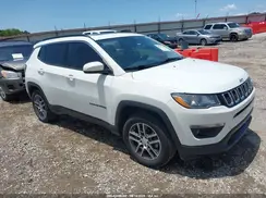 3C4NJDBB8LT234466 2020 JEEP COMPASS