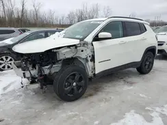 3C4NJDBB8LT239621 2020 JEEP COMPASS