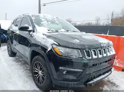 3C4NJDBB8LT251817 2020 JEEP COMPASS