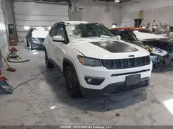 3C4NJDBBXKT621261 2019 JEEP COMPASS