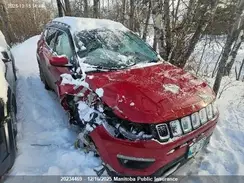 3C4NJDBBXLT133350 2020 JEEP COMPASS