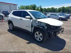 3C4NJDBBXLT219466 2020 JEEP COMPASS