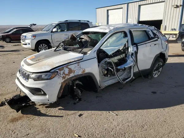 3C4NJDBN0ST528484 2025 JEEP COMPASS - Image 1