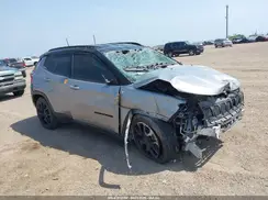 3C4NJDBN4PT503269 2023 JEEP COMPASS