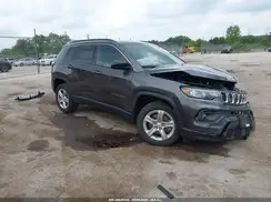 3C4NJDBN9PT559109 2023 JEEP COMPASS