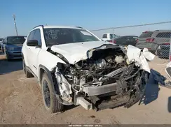 3C4NJDBN9ST515765 2025 JEEP COMPASS