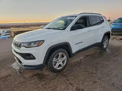 3C4NJDBNXPT553447 2023 JEEP COMPASS