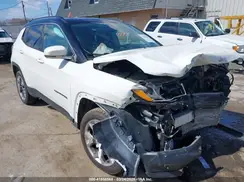 3C4NJDCB0KT827087 2019 JEEP COMPASS