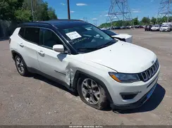 3C4NJDCB0LT116703 2020 JEEP COMPASS