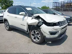 3C4NJDCB0LT132562 2020 JEEP COMPASS