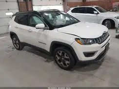 3C4NJDCB0LT154061 2020 JEEP COMPASS