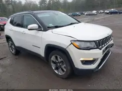 3C4NJDCB0LT233570 2020 JEEP COMPASS