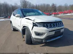 3C4NJDCB0LT248621 2020 JEEP COMPASS