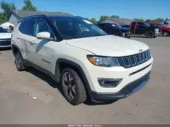 3C4NJDCB1KT690225 2019 JEEP COMPASS