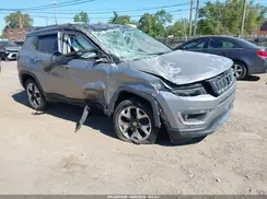 3C4NJDCB1KT767627 2019 JEEP COMPASS