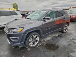 3C4NJDCB1LT124163 2020 JEEP COMPASS